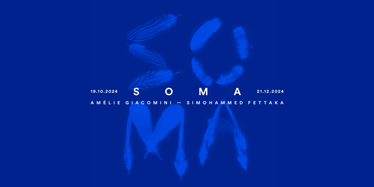 SOMA, exposition